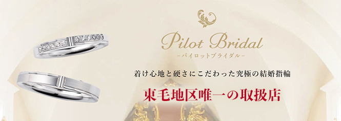 Pilot Bridal Ring